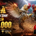 Liên hệ Garena.com.bz | Hỗ trợ casino, no hu 3 garena-livecasino-banner-1
