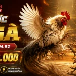 Liên hệ Garena.com.bz | Hỗ trợ casino, no hu 2 garena-livecasino-banner-2