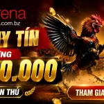 Liên hệ Garena.com.bz | Hỗ trợ casino, no hu 1 garena-livecasino-banner-3
